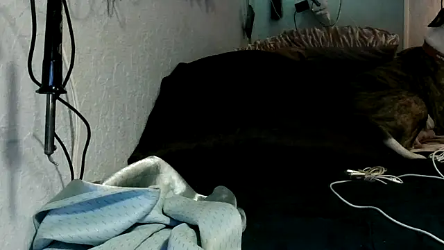 PornStro921 live sex cam