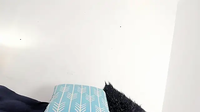 Tomy_Rox live sex cam