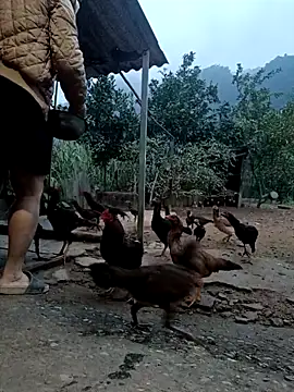 SexyQueen99's cam snapshot