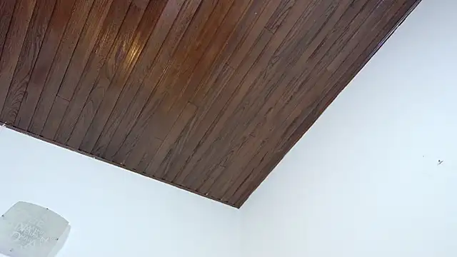 Victoria_Gautherr's cam snapshot