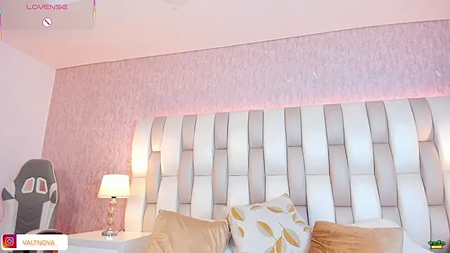 valt_'s cam snapshot