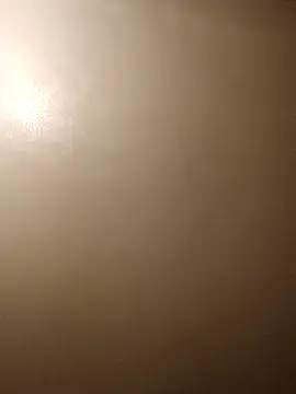 moneybaggtj live sex cam