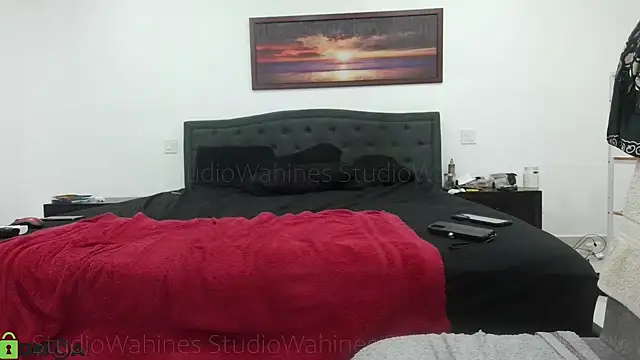 StudioWahines's cam snapshot