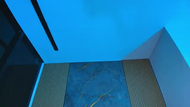 valecastro_'s cam snapshot