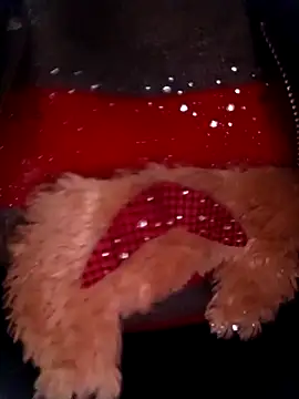 phunphun's cam snapshot