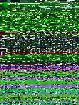 susitano's cam snapshot