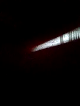 Mirellafoss live sex cam