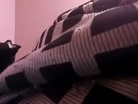 Blkstylion live sex cam