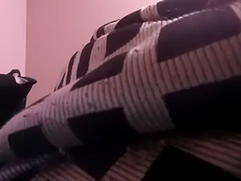 Blkstylion live sex cam