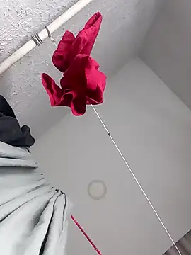 aiiram_hard_sex's cam snapshot