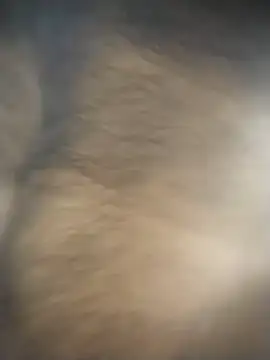 SL_BEAR live sex cam