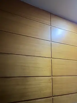 emmyjhonson07's cam snapshot