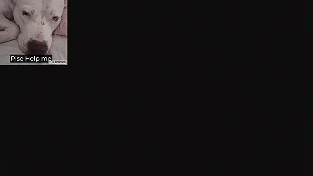 Alaia_Asuka's cam snapshot