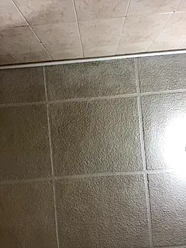 LICEET's cam snapshot