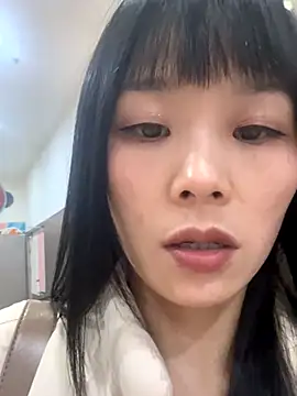 petoys's cam snapshot