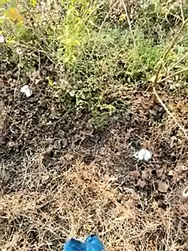 himvilohi08 live sex cam