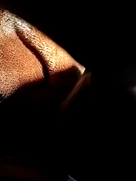 Chiseldigger live sex cam