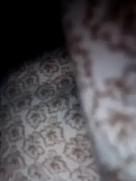 Porco81cazzo live sex cam