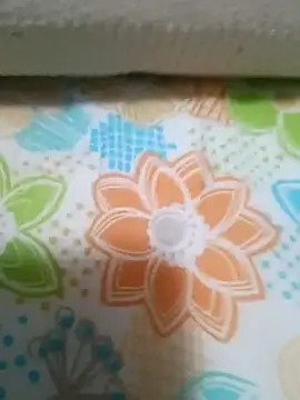 Lupercinio live sex cam