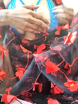 Desi_Bhabi_01's cam snapshot