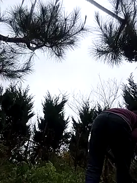 siusiu-00's cam snapshot