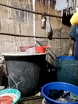 doggy-00's cam snapshot