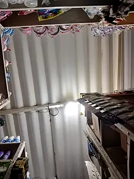 Linda_Lars live sex cam