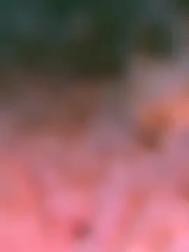 meliodas_23cm live sex cam