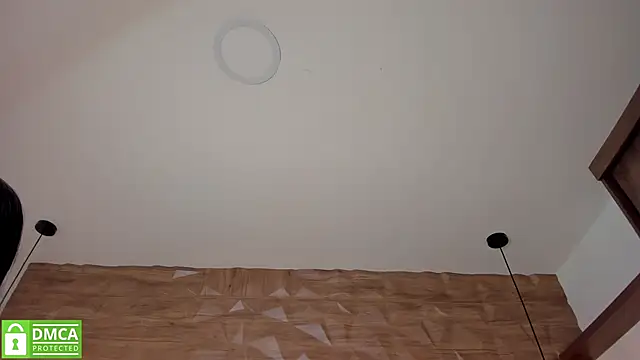 Scarlet__Jones_'s cam snapshot