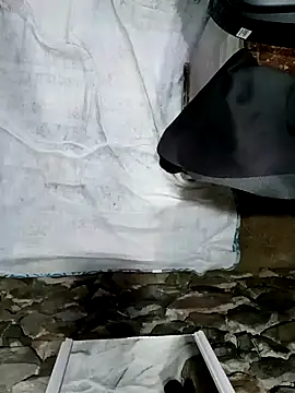 sexygosht live sex cam