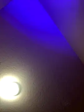 1n0nlythroat's cam snapshot