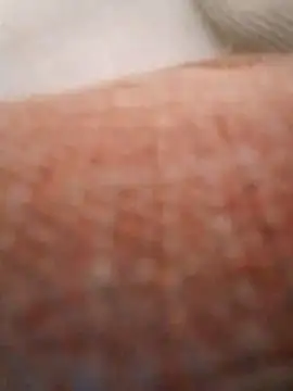 Mrsanaconda's cam snapshot