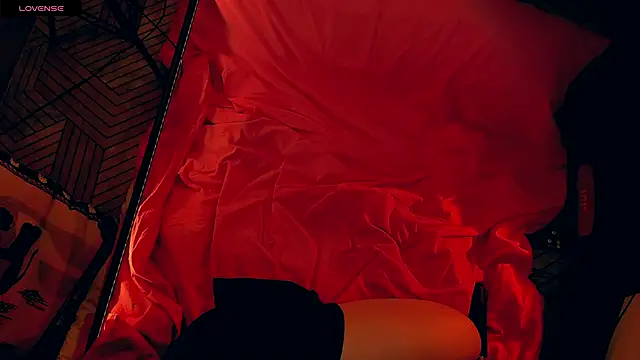 5_in_one's cam snapshot