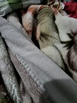 desi_kmr's cam snapshot