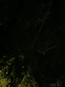 Miiafoxxx's cam snapshot