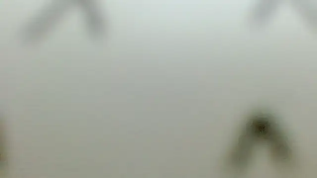 money_Ts_ live sex cam