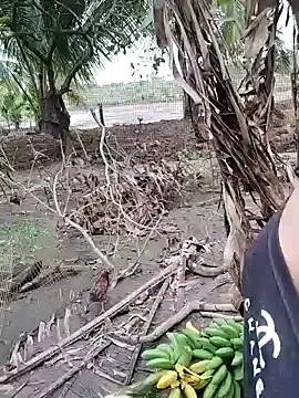 BigBoobs186's cam snapshot