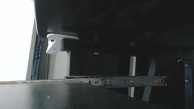 alizbunny live sex cam