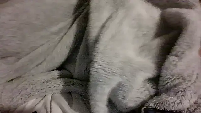 Toofat4you's cam snapshot