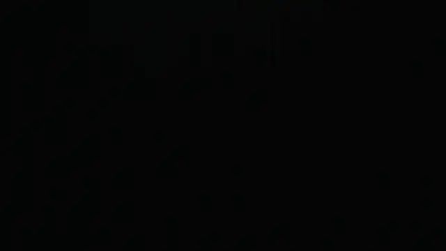 1BECHA1's cam snapshot