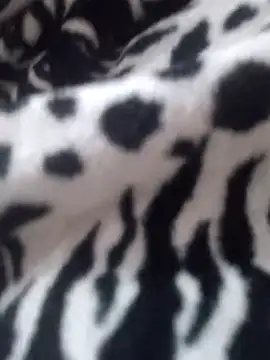 Aachal_7 live sex cam