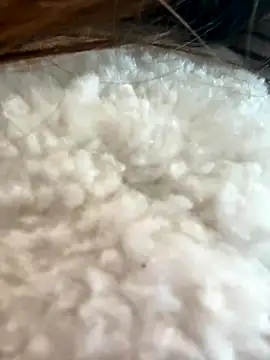 chick-888's cam snapshot