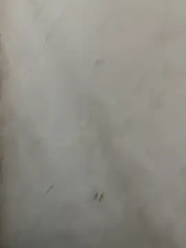 Monspeet_01 live sex cam