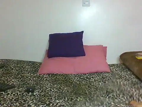 Cessylolla's cam snapshot