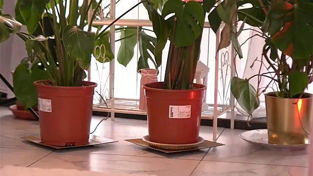 EmilyRaymont's web cam