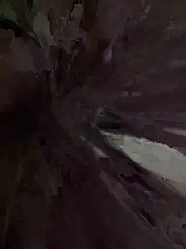 vivi-tara live sex cam