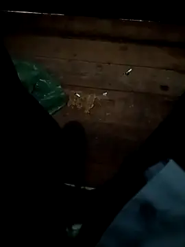 Ursonego's cam snapshot