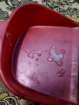 Lovingsol live sex cam