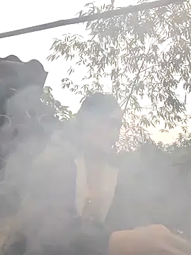 doggy-00's cam snapshot