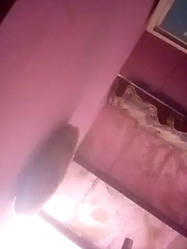 TINASONI's cam snapshot